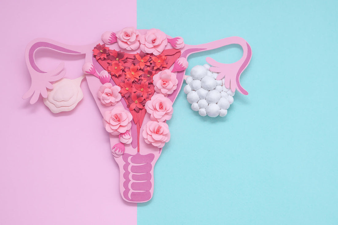 生理痛・過多月経に悩んだ私の体験｜子宮筋腫・腺筋症・高度異形成の話